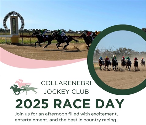 Colly Jockey Races 2025.jpg