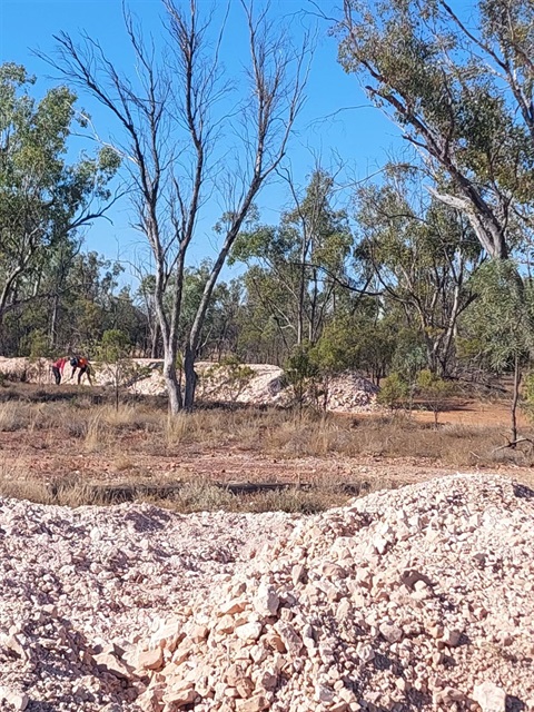 Fossicking Area at Grawin Club in the Scrub.jpg