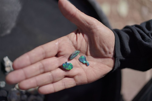 Opals in the palm of tour guides hand