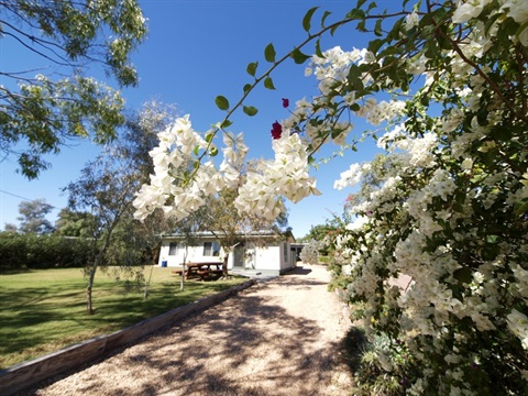 harlequin cottage.jpg