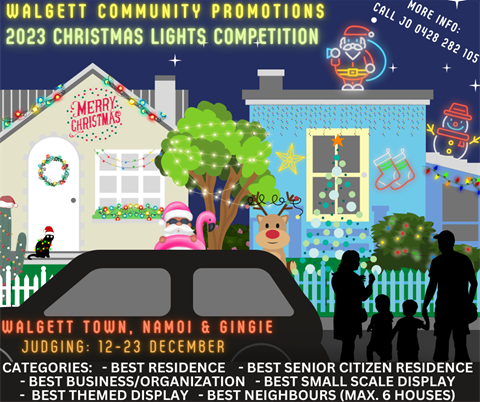 WCP 2023 Christmas lights post draft 1.png