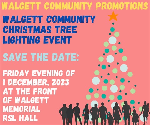 Xmas Tree Lights.jpg