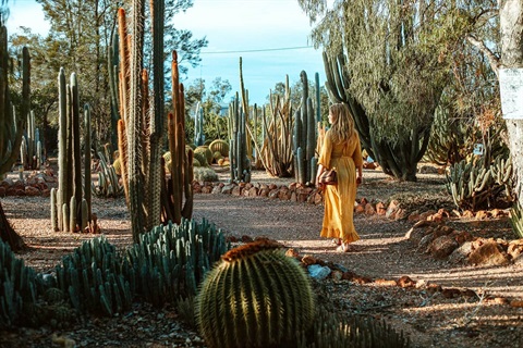 Bevans Cactus Nursery.jpg