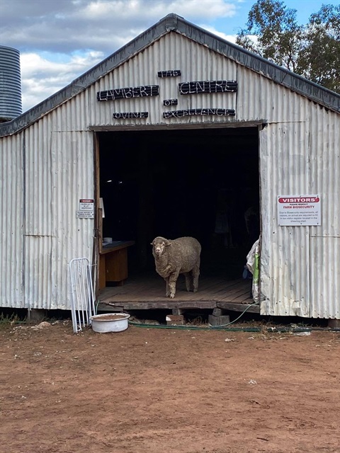 Carinya Station Farm Tours.jpg